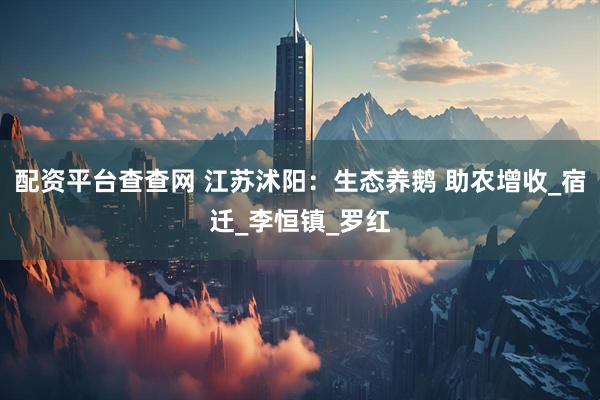 配资平台查查网 江苏沭阳：生态养鹅 助农增收_宿迁_李恒镇_罗红