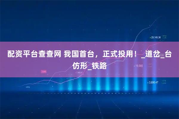 配资平台查查网 我国首台，正式投用！_道岔_台仿形_铁路