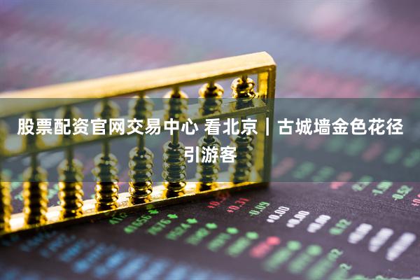 股票配资官网交易中心 看北京｜古城墙金色花径引游客